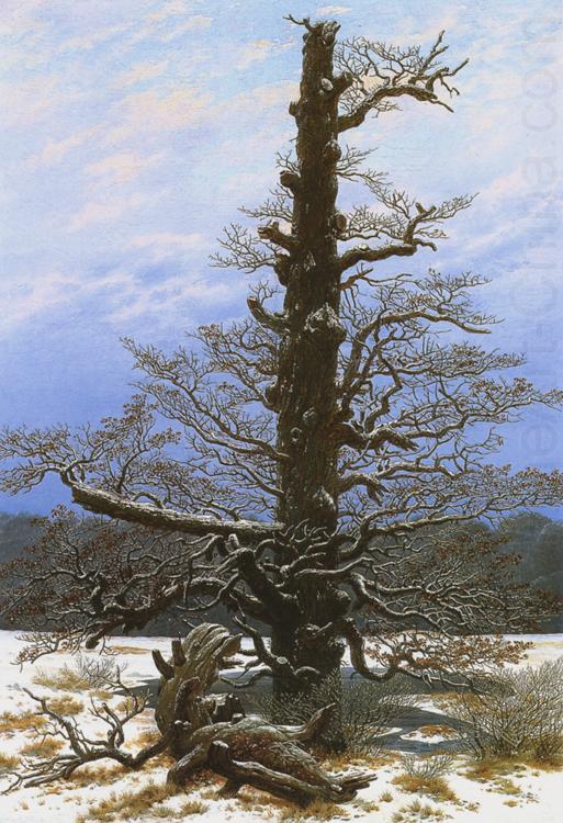 Caspar David Friedrich Oak Tree in the Snow (mk10) china oil painting image